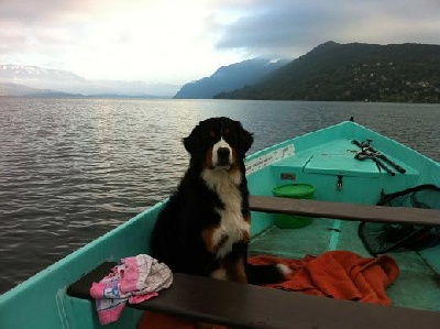 du hameau de Vertamise - Flanelle  sur le lac du Bourget