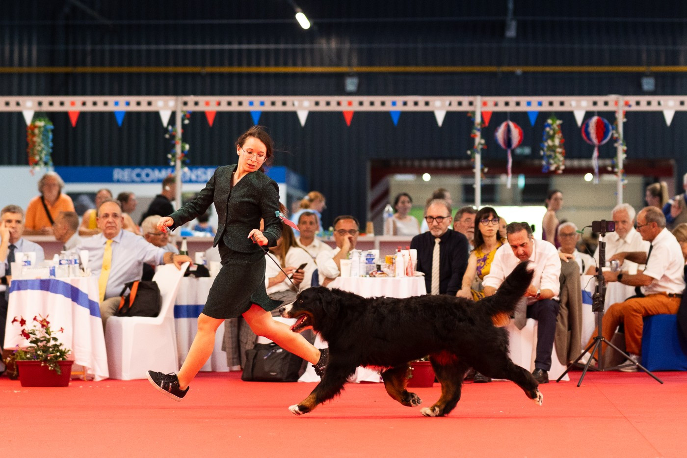 Twist à Bologne pour la Mondiale et au championnat de France