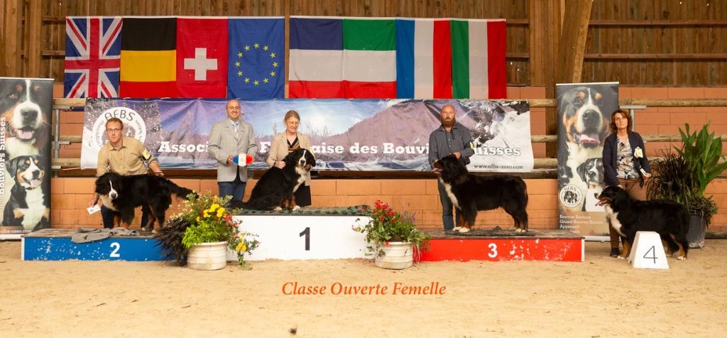 Sur la 1ère marche du podium à la NE !