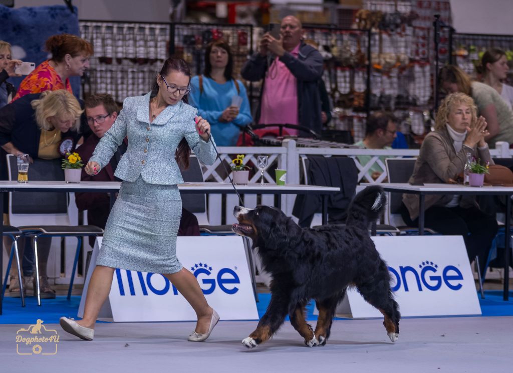Expos Luxembourg 30 et 31 août 