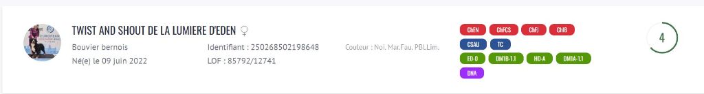 Twist Championne CS et IB !